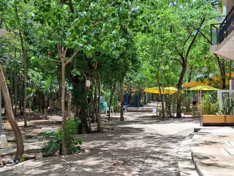 Foto 12