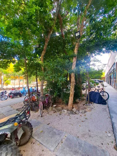Foto 12