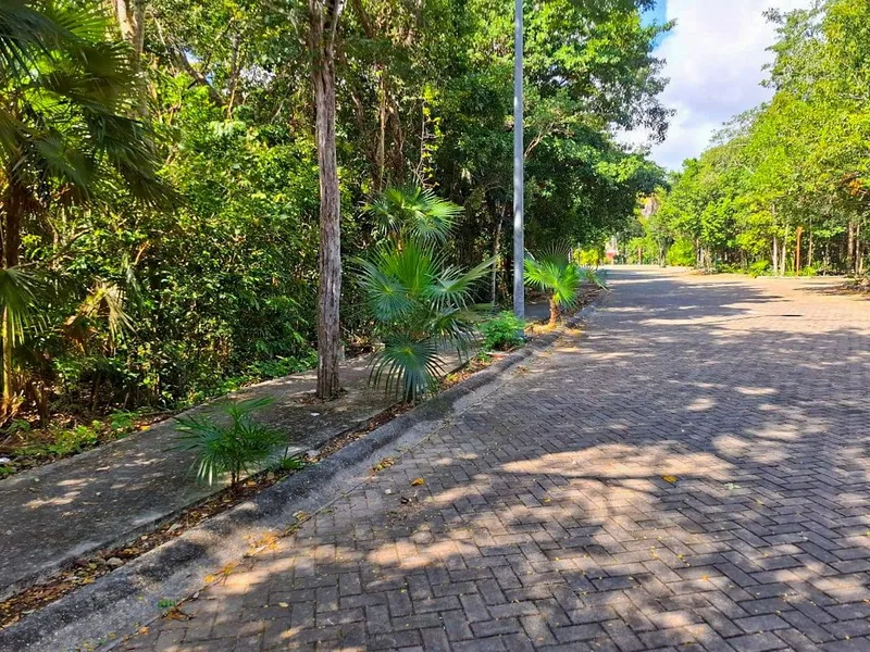 Lote en venta · Aldea Zama, Tulum, Quintana Roo