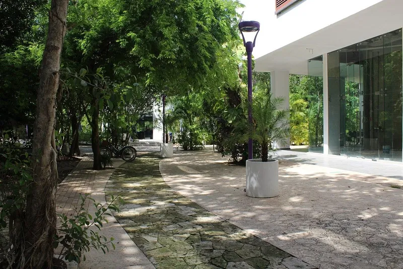 Foto 11