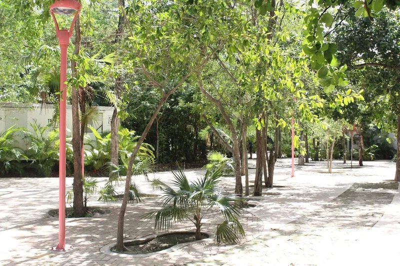 Foto 6