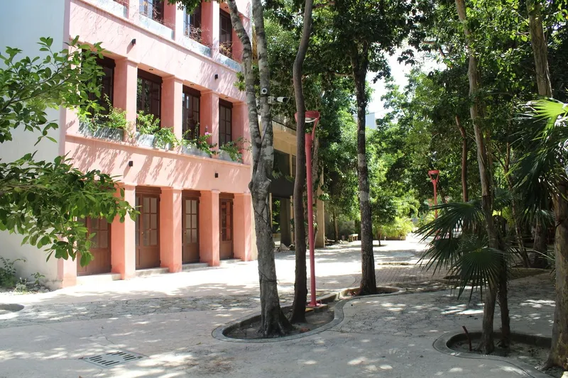 Foto 5
