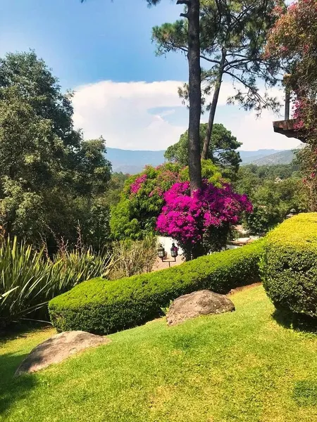 Foto 23