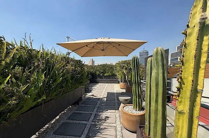 Departamento en alquiler · Polanco, Miguel Hidalgo, Ciudad de México