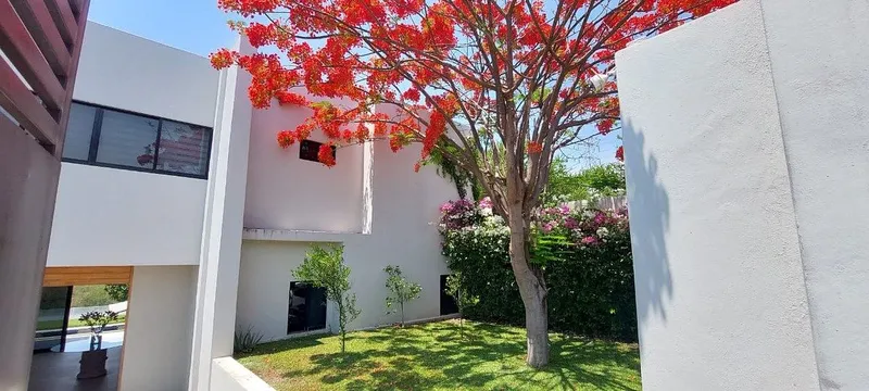 Foto 47