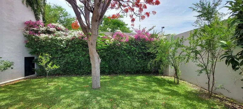 Foto 28