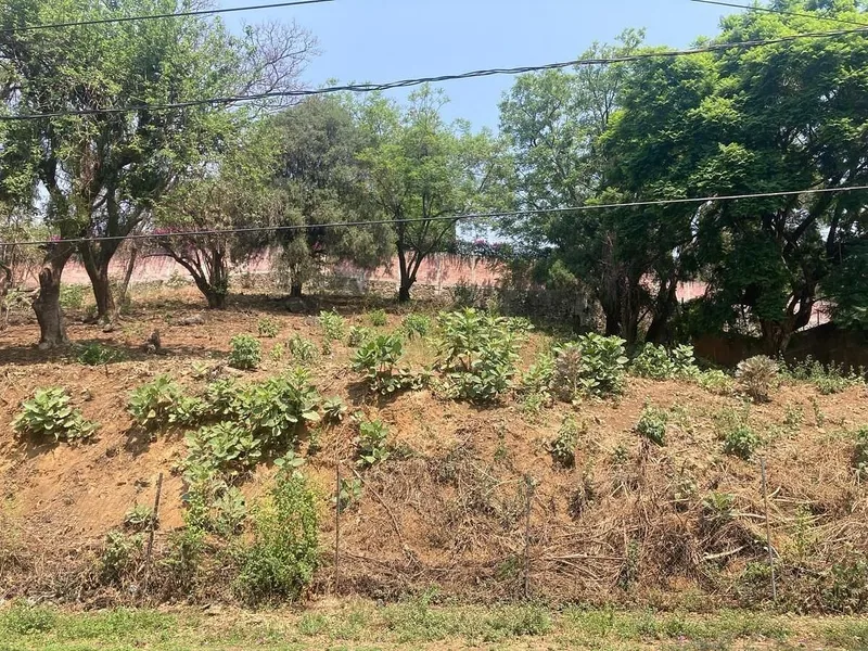 Foto 6