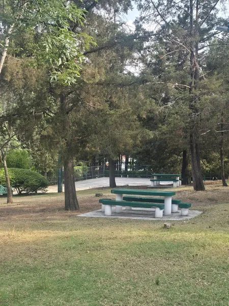 Foto 19