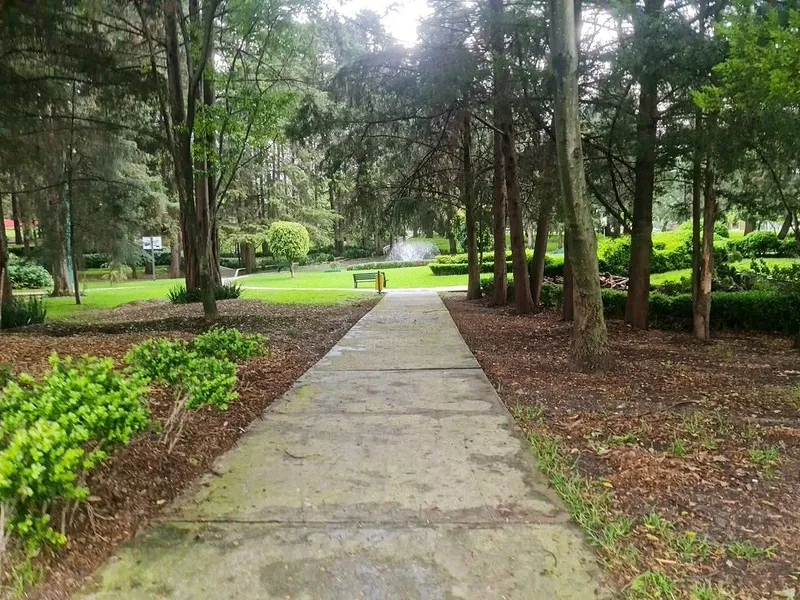 Foto 16