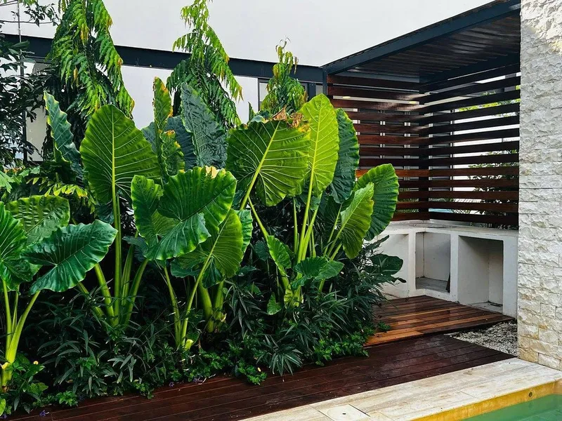 Condominio en alquiler · Yucatán Country Club, Mérida, Yucatán