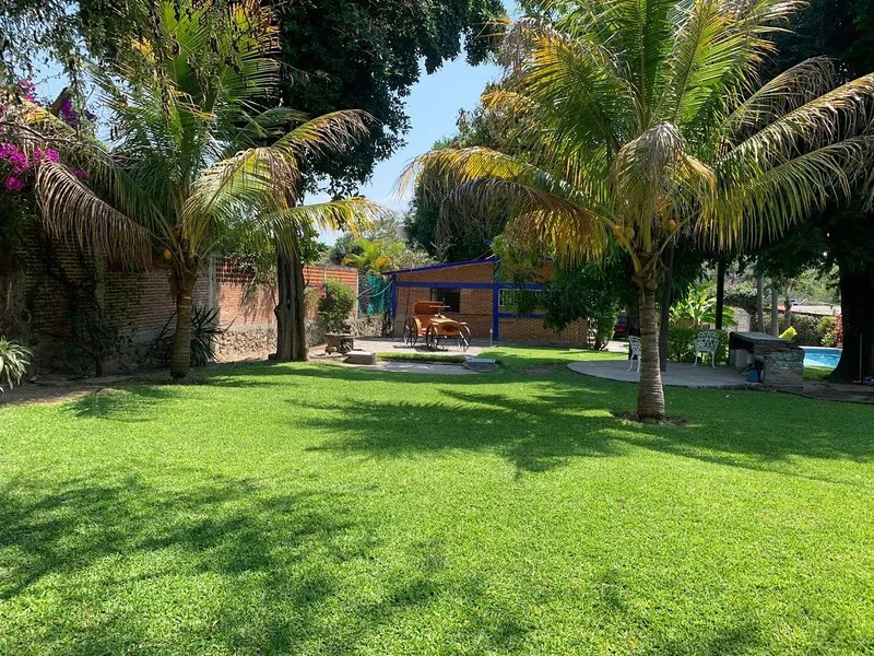 Lote en venta · Centro de Alpuyeca, Xochitepec, Morelos