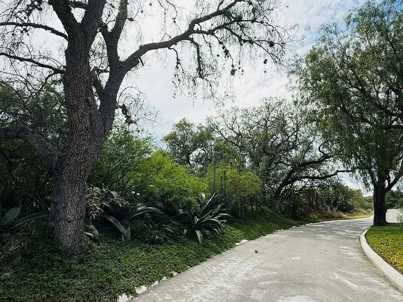 Foto 10