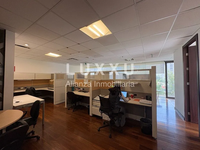 Oficina en renta · Polanco, Miguel Hidalgo, Ciudad de México