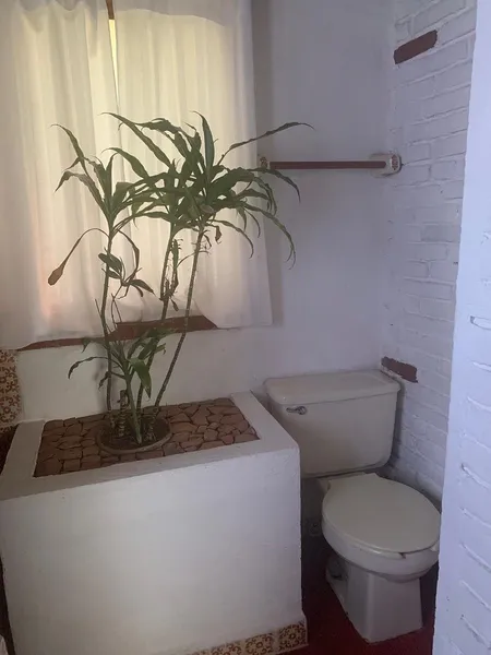 Foto 50