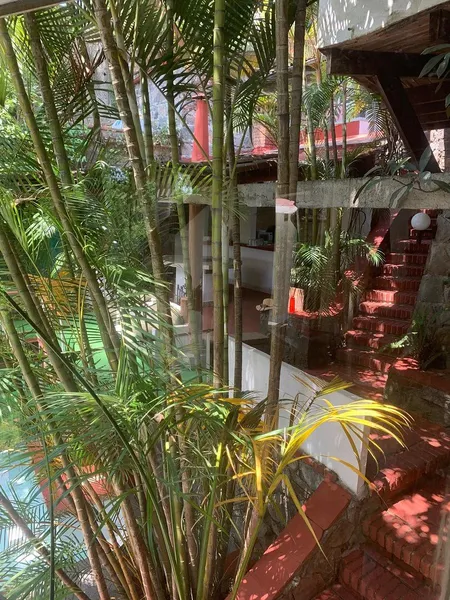 Foto 15