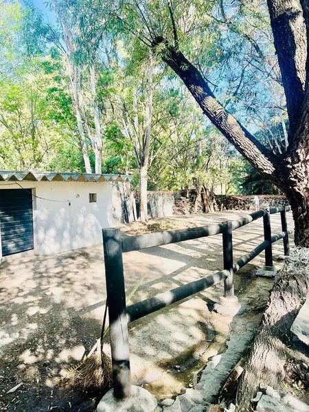 Foto 40