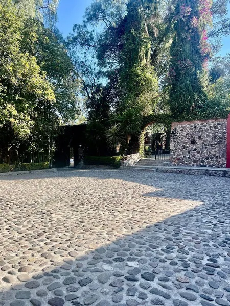 Foto 18