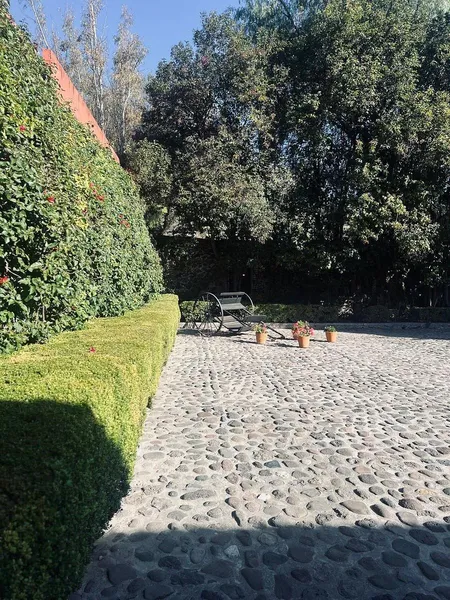 Foto 14