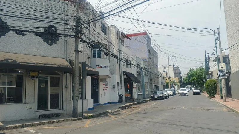Foto 19
