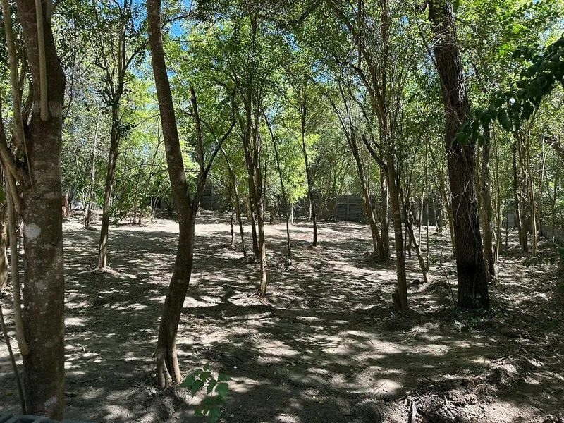 Casa en venta · Bosques de las Misiones Sector Magnolia, Santiago, Nuevo León Casa en venta · Bosques de las Misiones Sector Magnolia, Santiago, Nuevo León