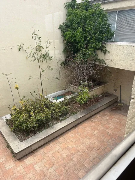 Foto 15