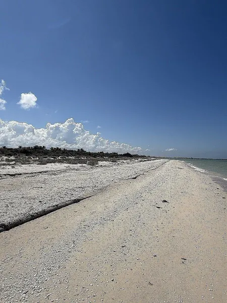 Lote en venta · Sisal, Hunucmá, Yucatán