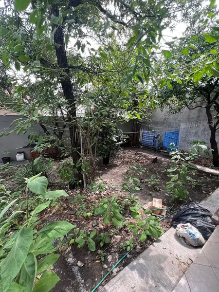 Foto 15