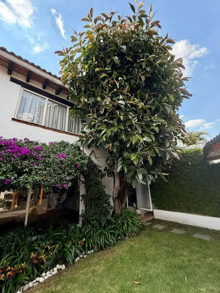 Foto 22