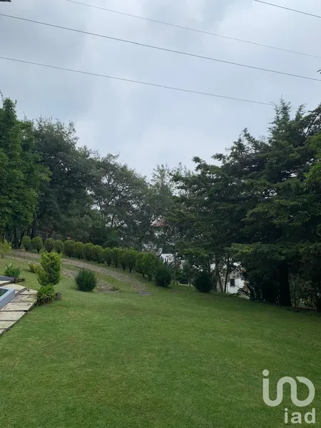 Foto 19