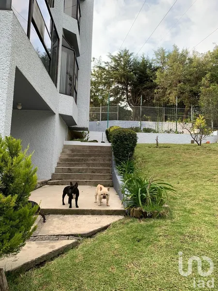 Foto 17