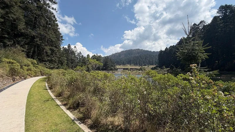 Foto 14