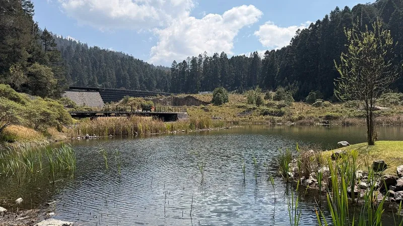 Foto 12