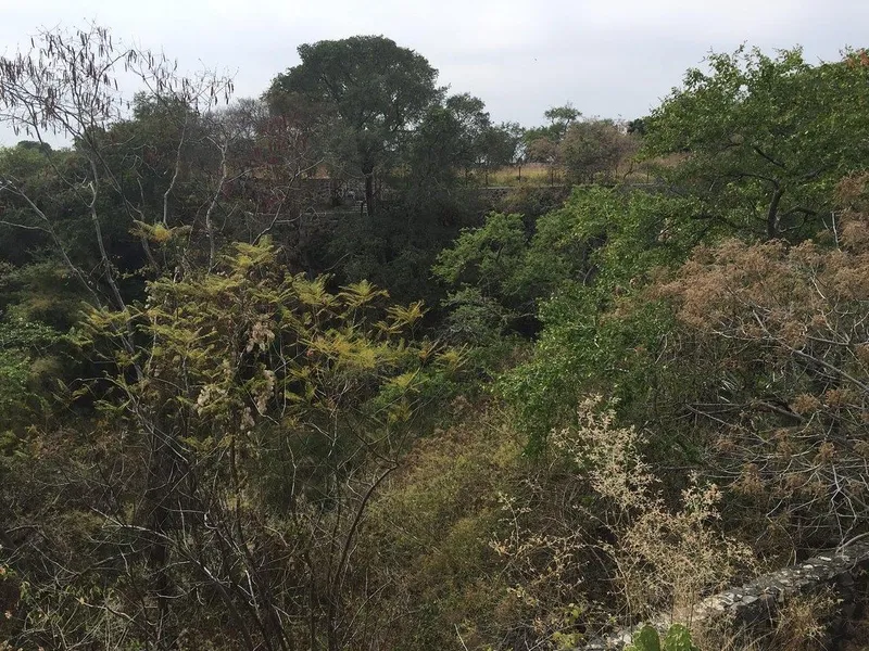 Lote en venta · Ampliación Emiliano Zapata, Cuautla, Morelos