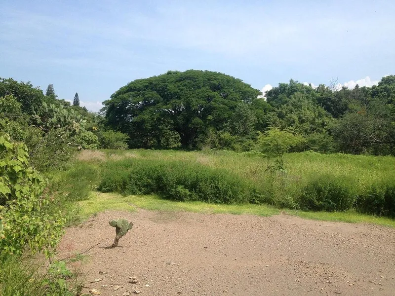 Foto 8