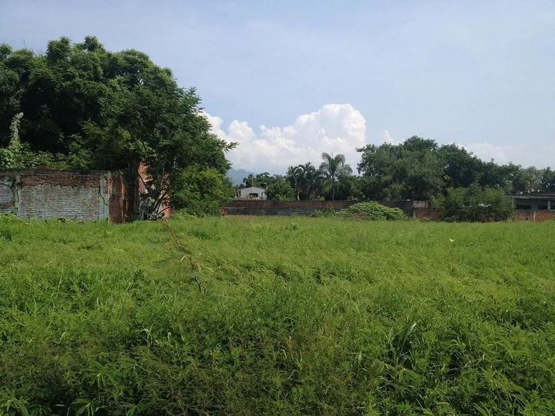 Lote en venta · Emiliano Zapata, Atlatlahucan, Morelos