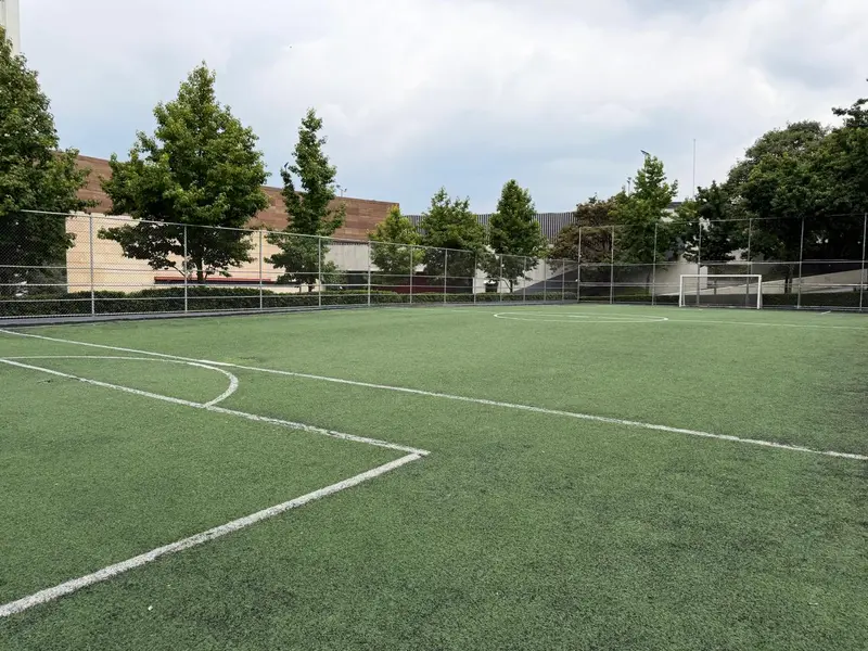 29.canchafut.jpeg