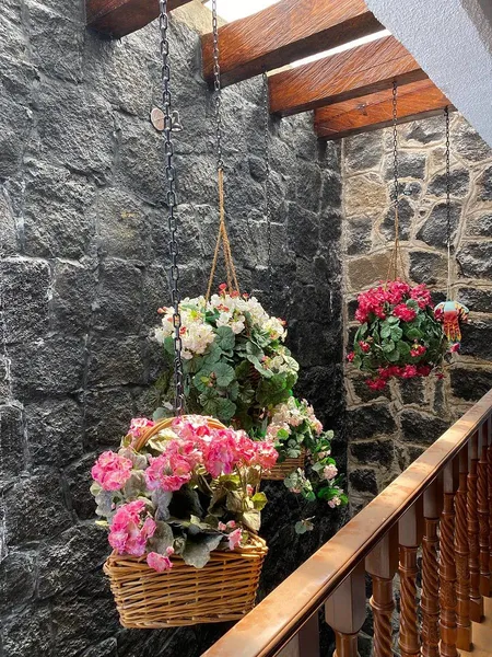 Foto 15