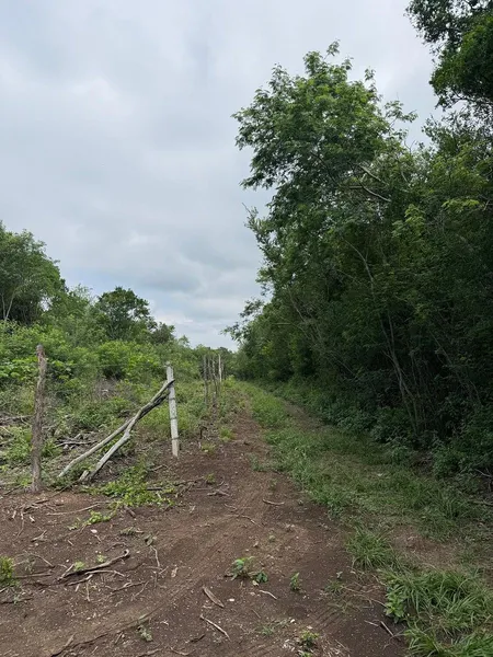 Lote en venta · Residencial San Mateo, San Pedro Garza García, Nuevo León