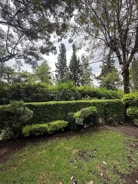 Foto 8