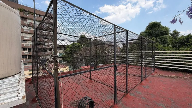 Foto 19