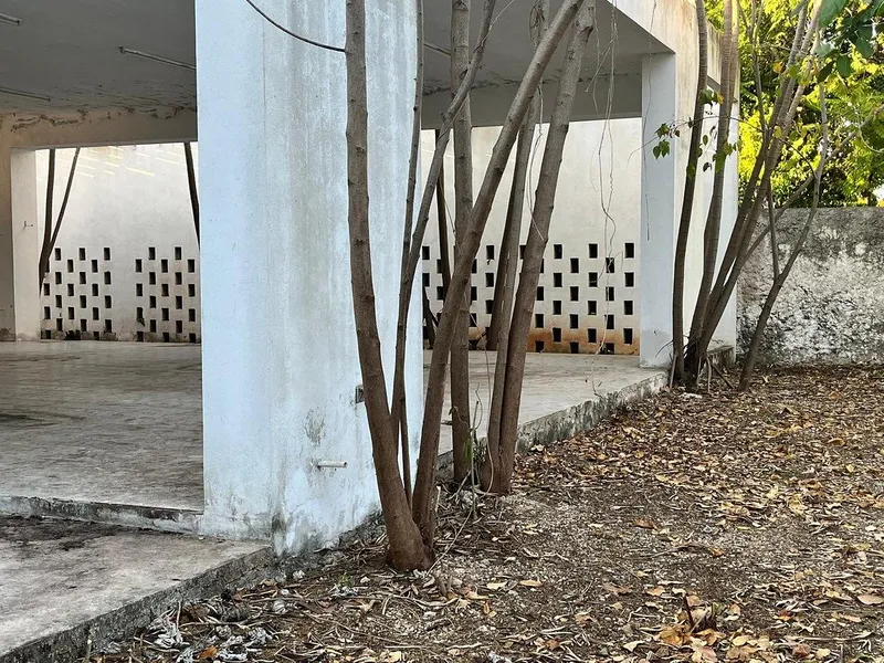 Foto 19