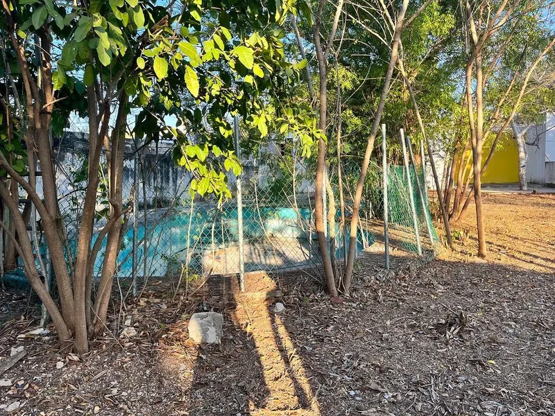 Foto 6