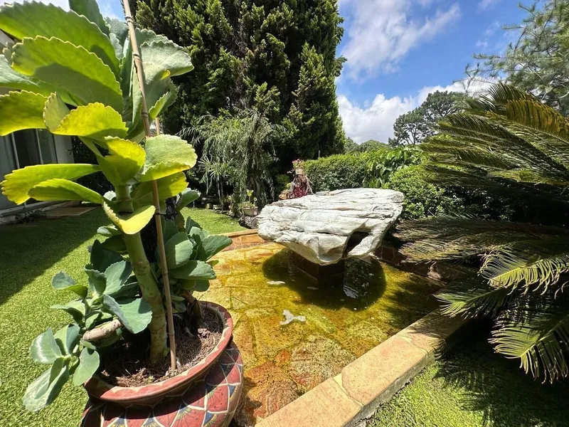 Foto 16