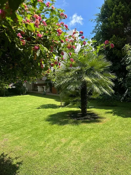 Foto 7