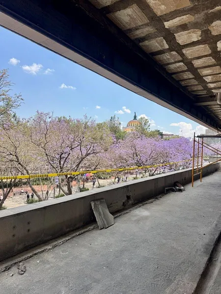 Comercio en renta · Centro (Área 1), Centro, Cuauhtémoc, Ciudad de México