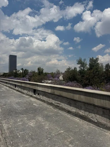 Comercio en renta · Centro (Área 1), Centro, Cuauhtémoc, Ciudad de México