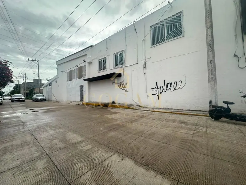 Foto 3