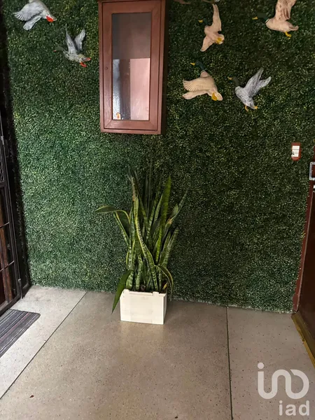 Foto 10