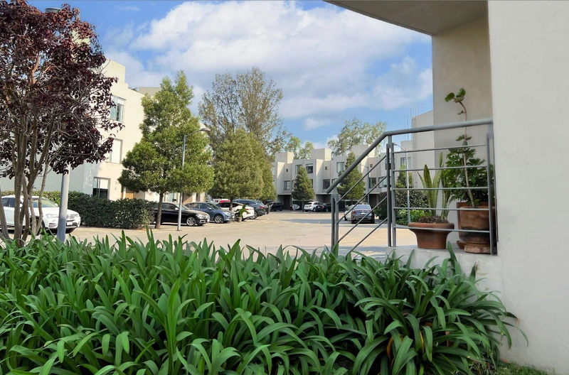 5Terreno Lote 6.jpg