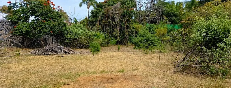 Lote en venta · Reforma, Cuernavaca, Morelos